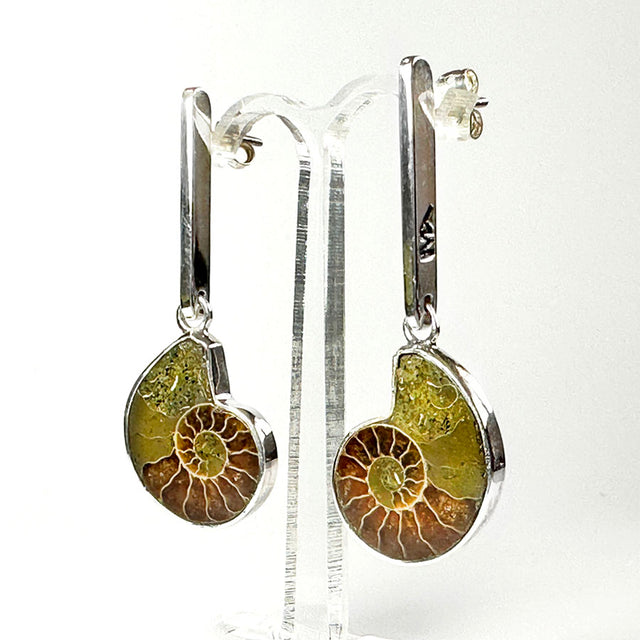 Aretes colgantes con fósiles
