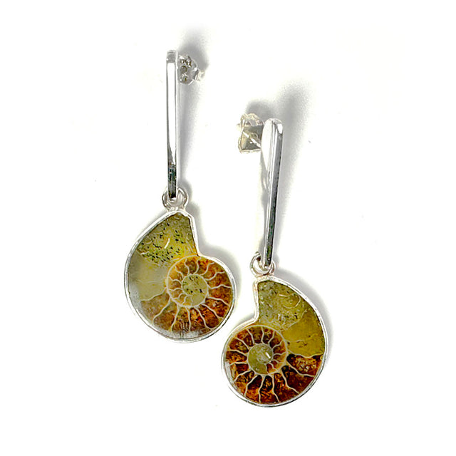 Aretes colgantes con fósiles
